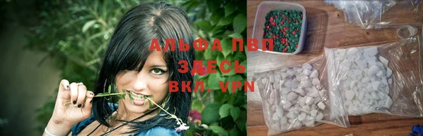 a pvp Новодвинск