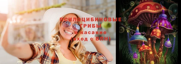 индика Новозыбков