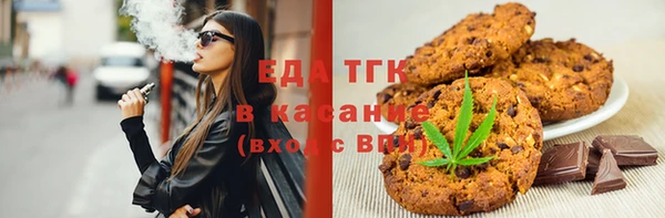 индика Новозыбков