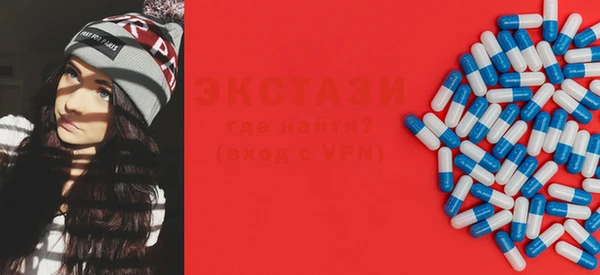 индика Новозыбков