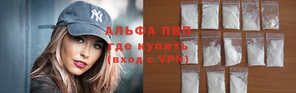 индика Новозыбков