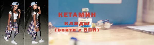 индика Новозыбков
