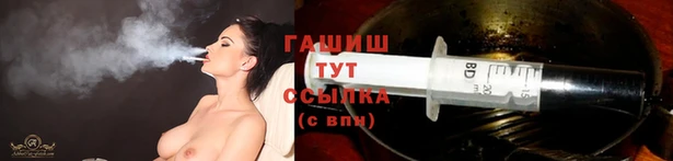 индика Новозыбков