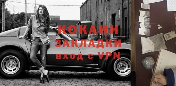 индика Новозыбков