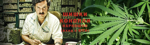 индика Новозыбков