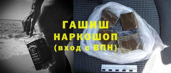 индика Новозыбков