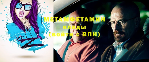 индика Новозыбков