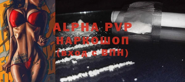 индика Новозыбков