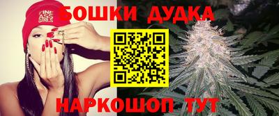 марки lsd Гатчина
