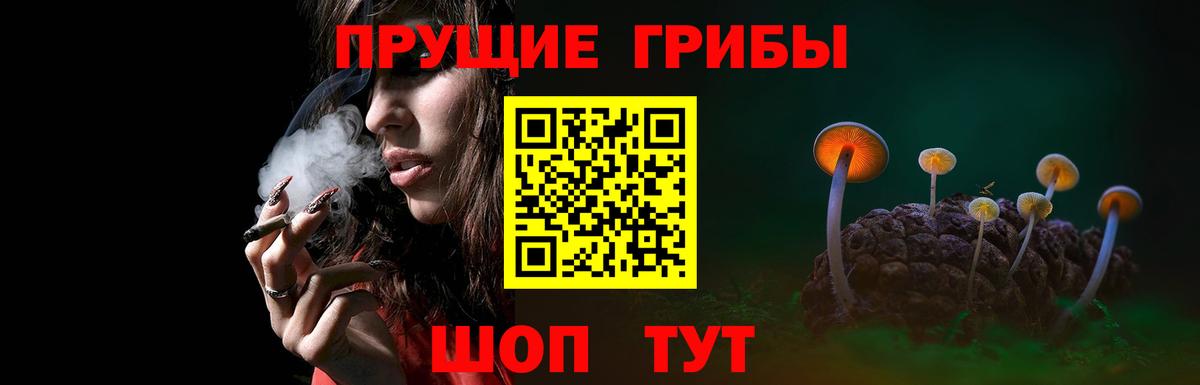 Псилоцибиновые грибы GOLDEN TEACHER Верхняя Салда