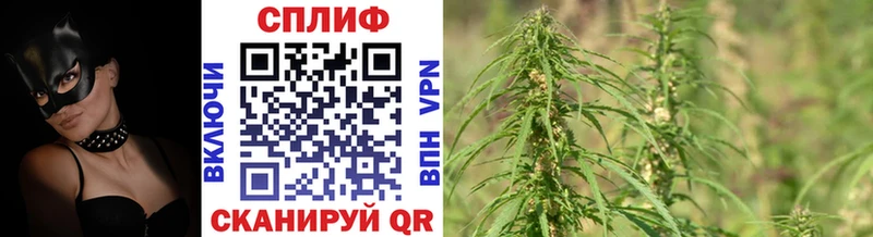 Конопля MAZAR  сколько стоит  Верхняя Салда 